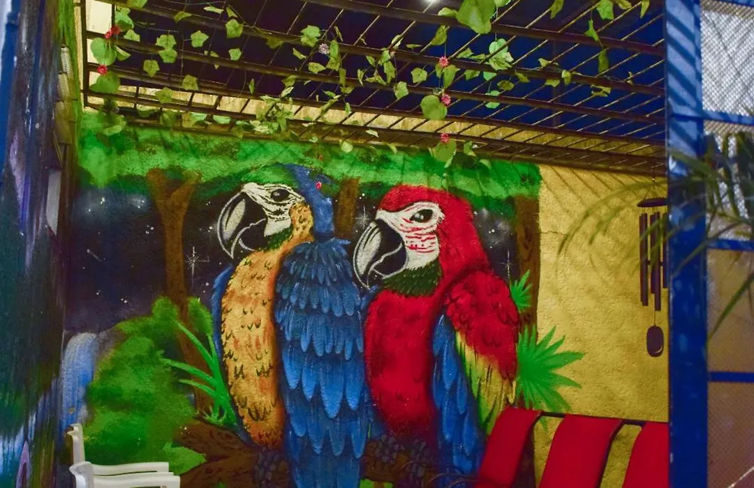 Key West Hostel-1
