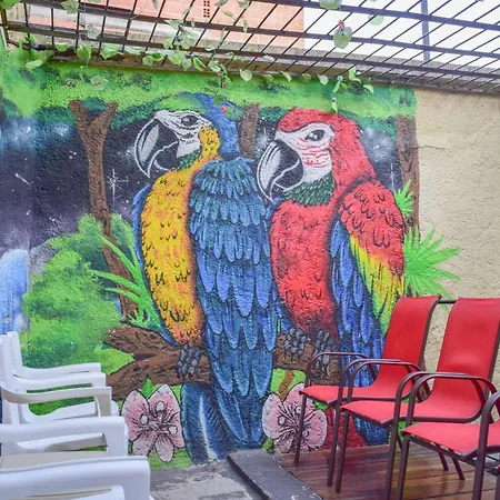 Key West Hostel-2